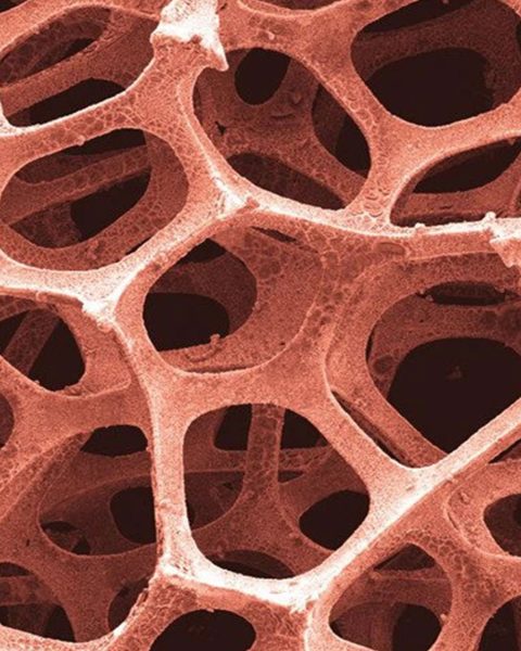 3d-porous-copper